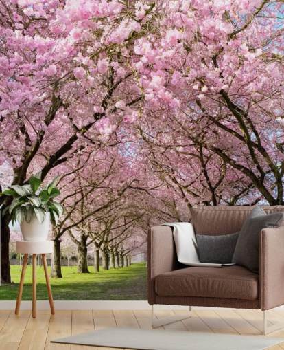 pink customizable cherry blossom wallpaper called Cherry Blossom Trees for bedrooms