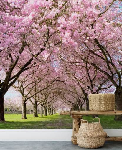 pink customizable cherry blossom wallpaper called Cherry Blossom Trees for bedrooms