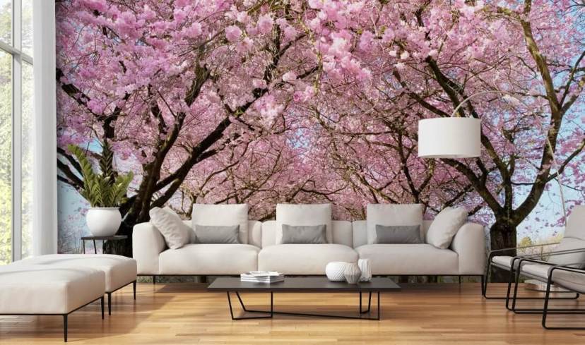 Cherry Blossom Wallpaper & Wall Murals | Wallsauce UK