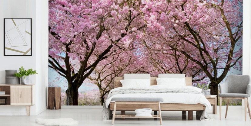 Cherry Blossom Wallpaper & Wall Murals | Wallsauce UK