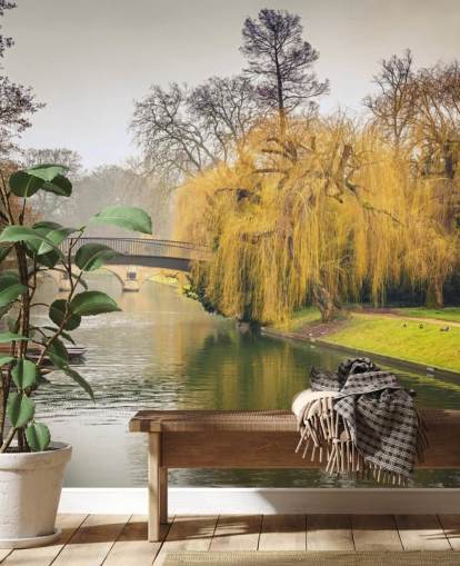 cambridge river tapet