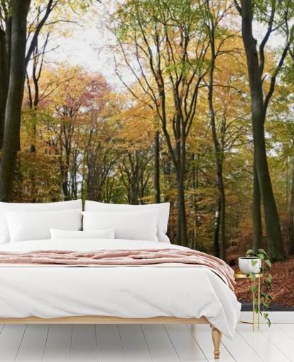 Path Through Autumnal Forest Wallpaper Path Through Autumnal Forest Wallpaper