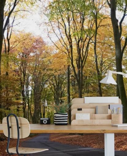 Carta da parati Percorso Attraverso Foresta Autunnale Carta da parati Percorso Attraverso Foresta Autunnale