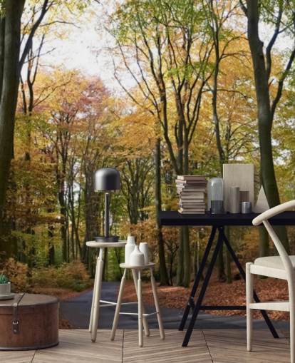 Path Through Autumnal Forest Wallpaper Path Through Autumnal Forest Wallpaper