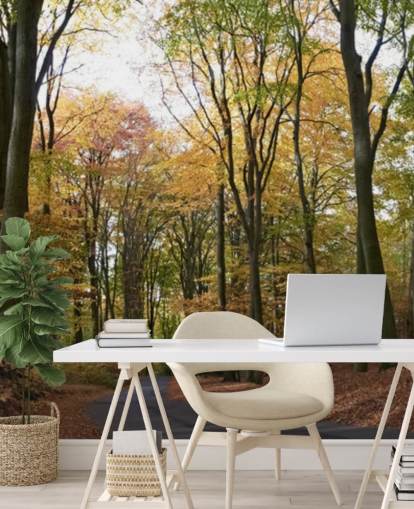 Sti Gennem Autumnal Forest Baggrund Sti Gennem Autumnal Forest Baggrund