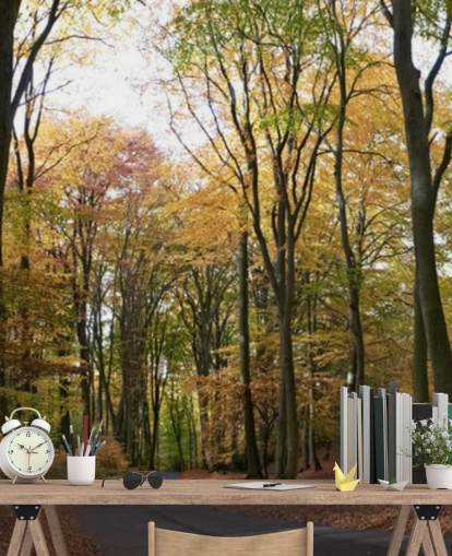 Pad door herfstbos behang