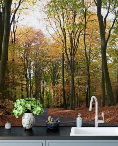 Weg durch den herbstlichen Wald Tapete