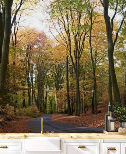 Fondo de pantalla Camino por el bosque otoñal