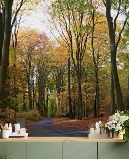 Path Through Autumnal Forest Wallpaper Path Through Autumnal Forest Wallpaper