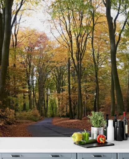 Weg durch den herbstlichen Wald Tapete