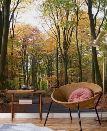 Path Through Autumnal Forest Wallpaper Path Through Autumnal Forest Wallpaper