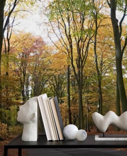 Fond d'écran Chemin à travers la forêt automnale Fond d'écran Chemin à travers la forêt automnale