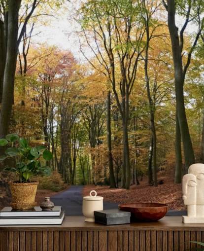 Pad door herfstbos behang