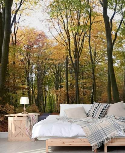 Path Through Autumnal Forest Wallpaper Path Through Autumnal Forest Wallpaper