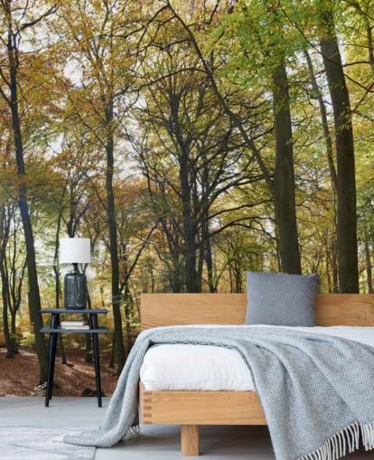 sunlit woodland wallpaper mural called Autumn Woodland for lounges, home offices and dining rooms sunlit woodland wallpaper mural called Autumn Woodland for lounges, home offices and dining rooms