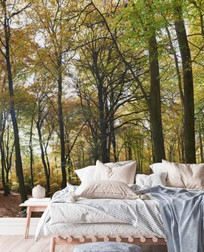 Wandtapete im sonnenbeschienenen Wald namens Autumn Woodland für Lounges, Heimbüros und Esszimmer