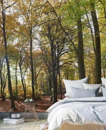 solbelyst skogstapetväggmålning kallad Autumn Woodland för lounger, hemmakontor och matsalar