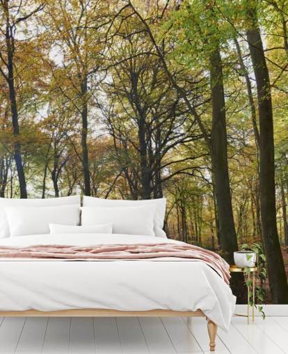 mural de papel pintado de un bosque iluminado por el sol llamado Autumn Woodland para salones, oficinas en casa y comedores