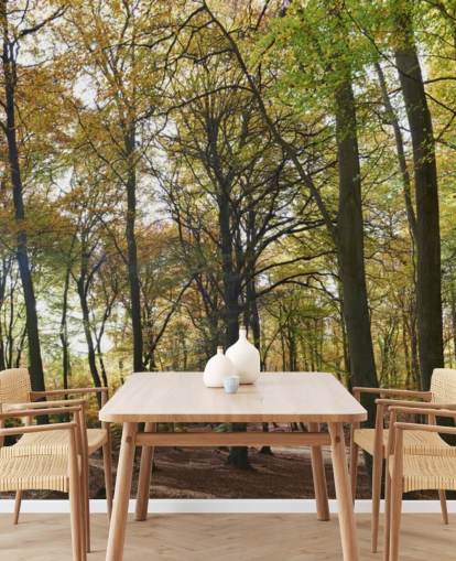 zonovergoten bosbehangmuurschildering genaamd Autumn Woodland voor lounges, kantoren aan huis en eetkamers zonovergoten bosbehangmuurschildering genaamd Autumn Woodland voor lounges, kantoren aan huis en eetkamers