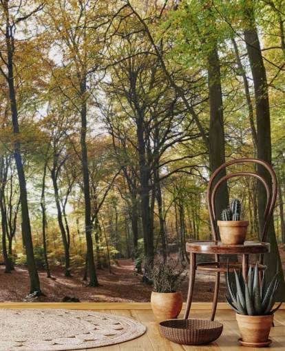 solbelyst skovtapet vægmaleri kaldet Autumn Woodland til lounger, hjemmekontorer og spisestuer