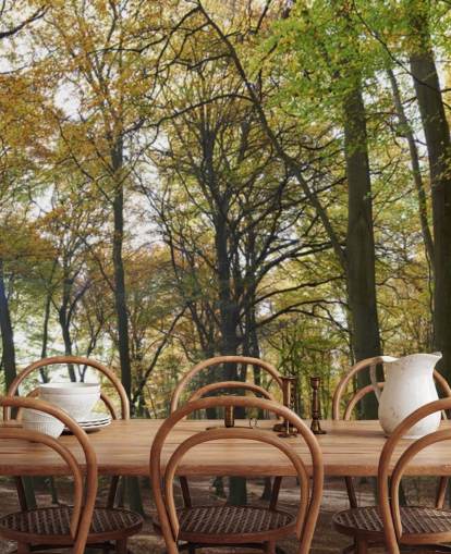 solbelyst skogstapetväggmålning kallad Autumn Woodland för lounger, hemmakontor och matsalar solbelyst skogstapetväggmålning kallad Autumn Woodland för lounger, hemmakontor och matsalar