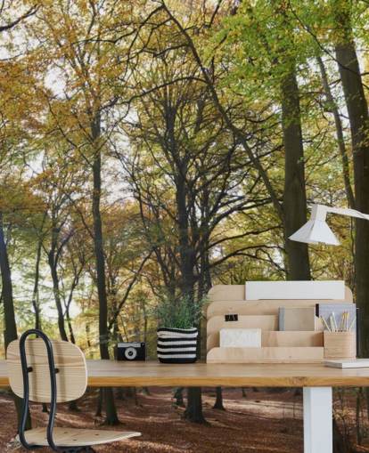 solbelyst skogstapetväggmålning kallad Autumn Woodland för lounger, hemmakontor och matsalar