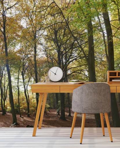 carta da parati murale Sunlit Woodland chiamata Autumn Woodland per salotti, uffici domestici e sale da pranzo carta da parati murale Sunlit Woodland chiamata Autumn Woodland per salotti, uffici domestici e sale da pranzo