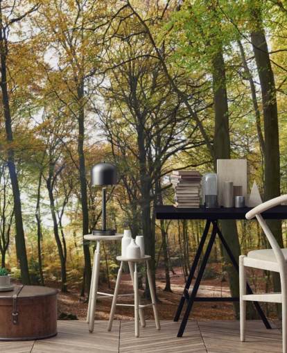 mural de papel pintado de un bosque iluminado por el sol llamado Autumn Woodland para salones, oficinas en casa y comedores