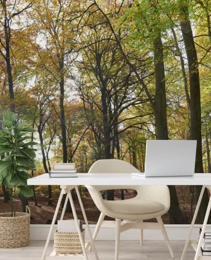 zonovergoten bosbehangmuurschildering genaamd Autumn Woodland voor lounges, kantoren aan huis en eetkamers