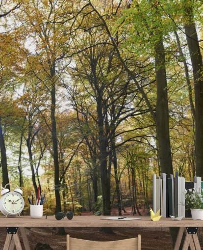 mural de papel pintado de un bosque iluminado por el sol llamado Autumn Woodland para salones, oficinas en casa y comedores
