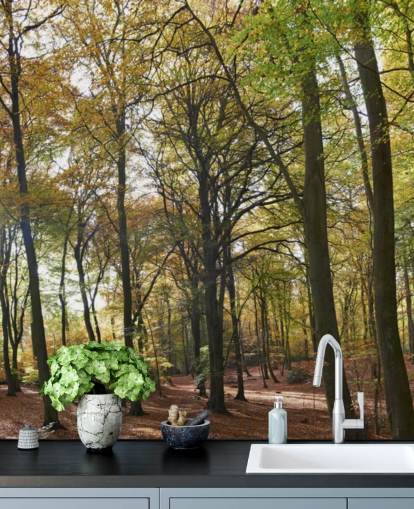 carta da parati murale Sunlit Woodland chiamata Autumn Woodland per salotti, uffici domestici e sale da pranzo