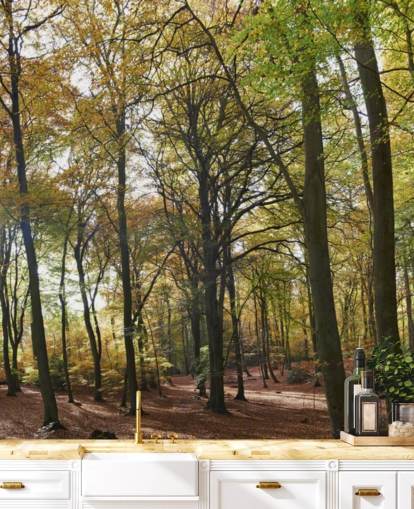 solbelyst skovtapet vægmaleri kaldet Autumn Woodland til lounger, hjemmekontorer og spisestuer