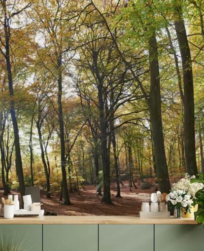 sunlit woodland wallpaper mural called Autumn Woodland for lounges, home offices and dining rooms