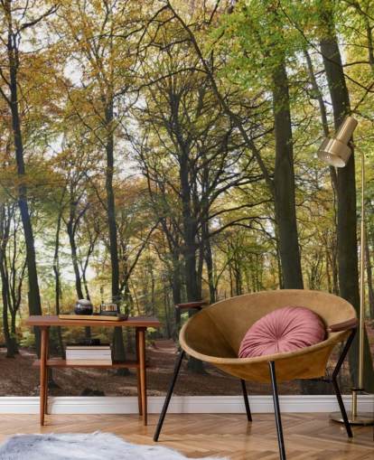 sunlit woodland wallpaper mural called Autumn Woodland for lounges, home offices and dining rooms