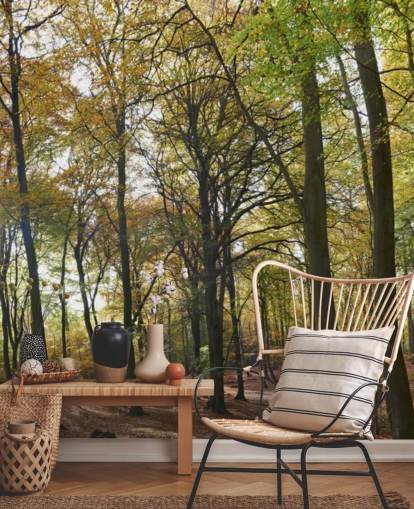 Wandtapete im sonnenbeschienenen Wald namens Autumn Woodland für Lounges, Heimbüros und Esszimmer
