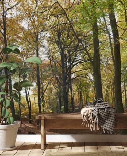 solbelyst skogstapetveggmaleri kalt Autumn Woodland for salonger, hjemmekontorer og spiserom