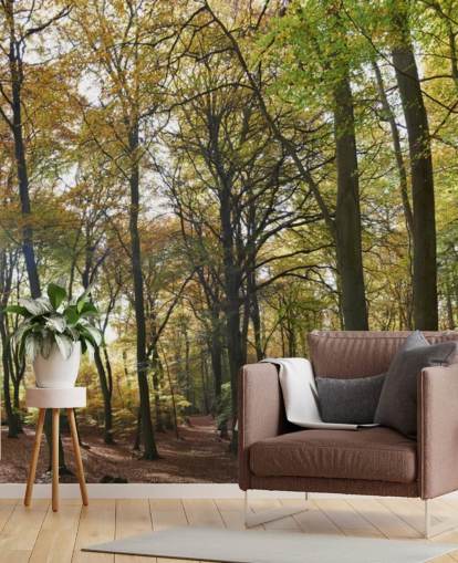 sunlit woodland wallpaper mural called Autumn Woodland for lounges, home offices and dining rooms
