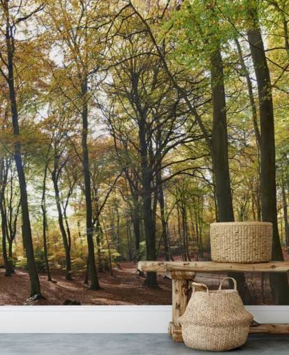 aurinkoinen metsätaustakuvamaalaus nimeltään Autumn Woodland oleskelutiloihin, kotitoimistoihin ja ruokasaleihin