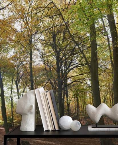sunlit woodland wallpaper mural called Autumn Woodland for lounges, home offices and dining rooms