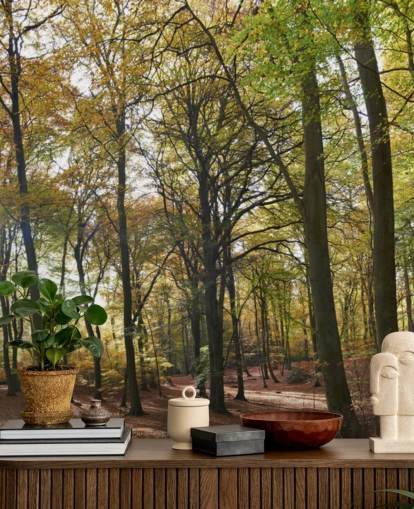 aurinkoinen metsätaustakuvamaalaus nimeltään Autumn Woodland oleskelutiloihin, kotitoimistoihin ja ruokasaleihin