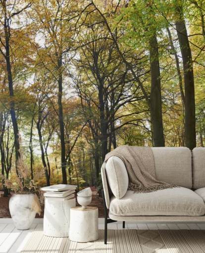 sunlit woodland wallpaper mural called Autumn Woodland for lounges, home offices and dining rooms
