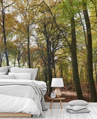 mural de papel pintado de un bosque iluminado por el sol llamado Autumn Woodland para salones, oficinas en casa y comedores