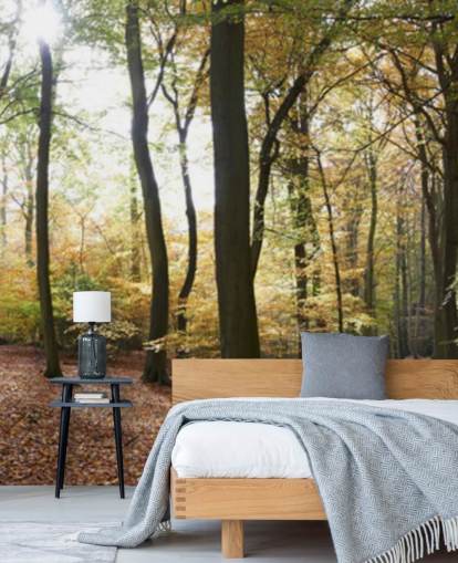 Papel de parede Woodland