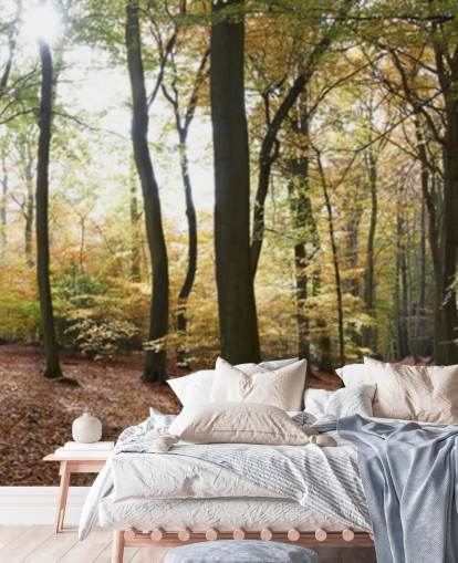 Woodland Wallpaper