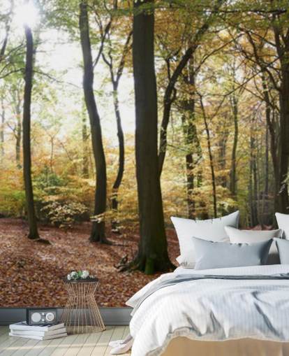 Papel Pintado Woodland