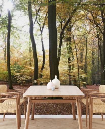 Papel de parede Woodland