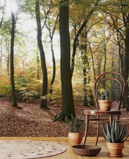 Papier peint Woodland