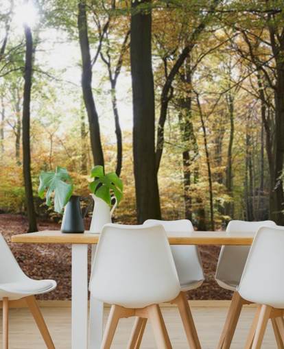 Woodland Hintergrundbild