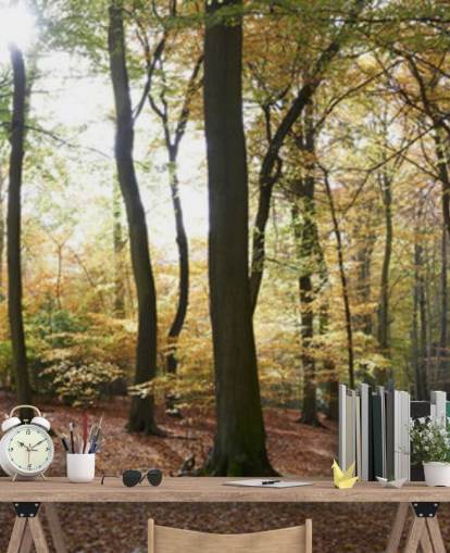 Papel Pintado Woodland Papel Pintado Woodland