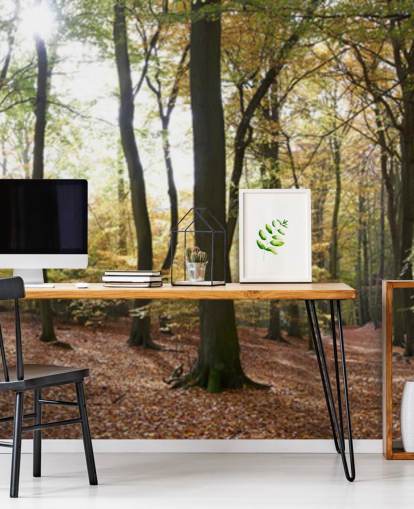 Papel de parede Woodland